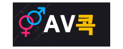 AV 콕