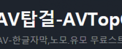 AV 탑