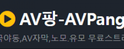 AV 팡